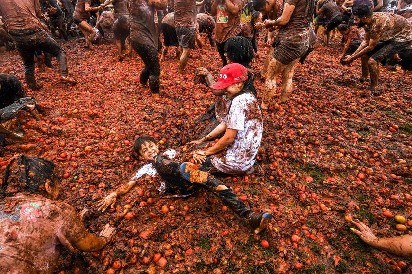La Tomatina, festival in Colombia, 11 giugno © ANSA/AFP